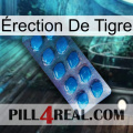 Érection De Tigre viagra1